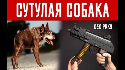 Собака сутулая, реалистично, крупным …» — создано в Шедевруме