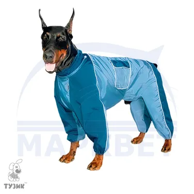 Mr.Z масштаб 1/12 Имитация животных полиция собака Doberman модельная  игрушка в виде собаки подарок модель F 7 "экшн-фигурка сцена украшение  автомобиля | AliExpress