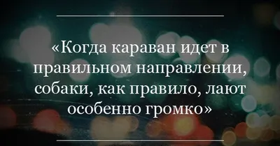 начение "Собака лает, караван идет". Народная мудрость - Фрилансер  Екатерина Юн Kacayun - Портфолио - Работа #2844706