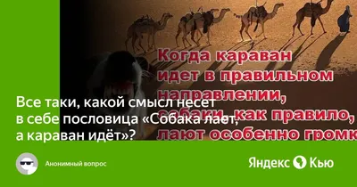 Все таки, какой смысл несет в себе пословица "Собака лает, а караван идёт"?»  — Яндекс Кью