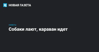 Собаки лают - караван идёт.» — создано в Шедевруме