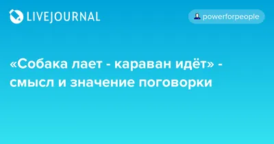 Собаки лают караван идёт» — создано в Шедевруме