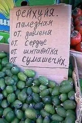 Собаки лают, караван идет. Ежедневная городская газета Орская хроника