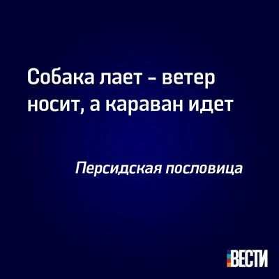 Собаки лают караван идёт фентези» — создано в Шедевруме