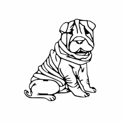 Как нарисовать собаку простым карандашом | Рисунок для начинающих легко и  поэтапно | Империя Пикчер | Дзен