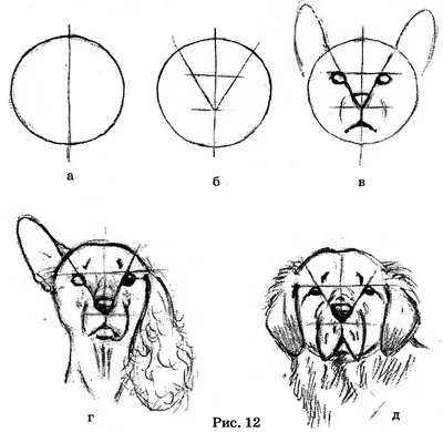 Как нарисовать собаку карандашом. - YouTube