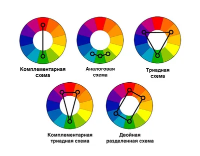 Правильное сочетание цветов - 7Дней.ру