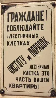 Как стать мидл-программистом в 18 лет и зарабатывать 220 000 ₽