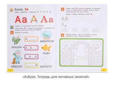 Математика. Считай-решай. 1 класс. Рабочая тетрадь. В двух частях. Часть 1  Дмитрий Киореску : купить в Минске в интернет-магазине — 