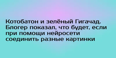 Новороссийск | Губернатор Кубани планирует соединить набережные Геленджика  и Новороссийска велодорожкой - БезФормата