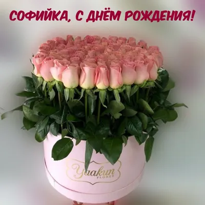 Открытки "С Днем Рождения, София!" (107 шт.)