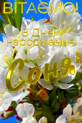 Софія З Днем народження! Безкоштовна картинка - 4607