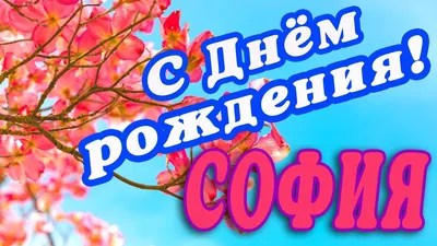 🌸 СОФИЯ С ДНЕМ РОЖДЕНИЯ / С ДНЕМ РОЖДЕНИЯ СОФИЯ / С ДНЁМ РОЖДЕНИЯ /  ОТКРЫТКИ С ДНЕМ РОЖДЕНИЯ - YouTube