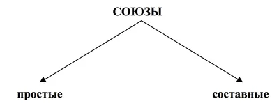 Белорусский союз женщин Академии МВД Республики Беларусь | 