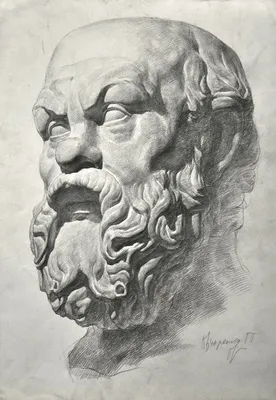 Сократ | Рисунки лица, Правила искусства, Рыбные иллюстрации