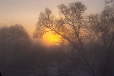 Солнечное утро. Фотограф Валерий