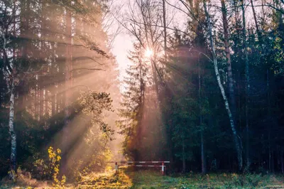 Солнечное утро октября. Фотограф Валерий