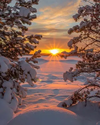 Морозное солнечное утро (58 фото) - 58 фото