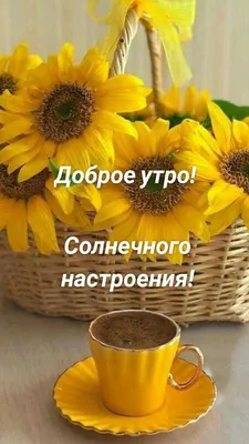 Доброе утро! Солнечного настроения!