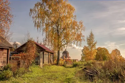 Осенний солнечный день» — создано в Шедевруме