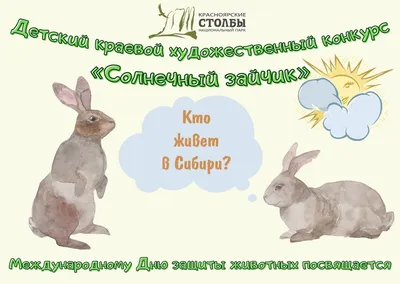 🐾 Лео и Тиг 🐾 – Серия 58 – Солнечный зайчик | Мультик для детей про  животных - YouTube