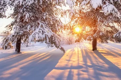 Зимний пейзаж Солнечный день - красивые фото