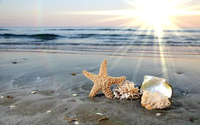 Лето солнце море пляж в 3д …» — создано в Шедевруме