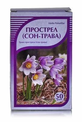 Сон-трава луговая (прострел) синяя Pulsatilla pratensis blue - купить  семена цветов с доставкой по Украине в магазине Добродар