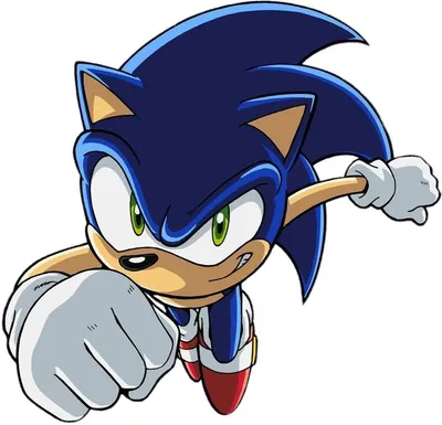 Sonic the Hedgehog (Sonic X Universe) | Sonic Villains Wiki | Fandom