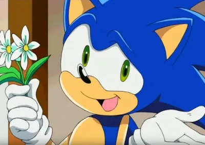 Watch Sonic X Streaming Online | Hulu (Free Trial)