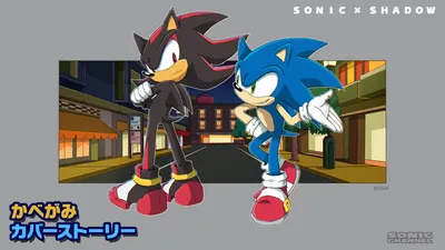 OFFICIAL] SONIC X Ep24 - How to Catch a Hedgehog - YouTube