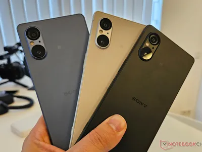 Чехол на Sony Xperia XA1 Plus с печатью картинки подсолнуха