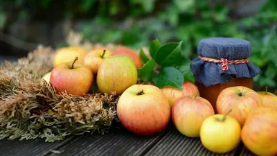 Купить саженцы яблонь, саженцы с доставкой, описание сорта, фото
