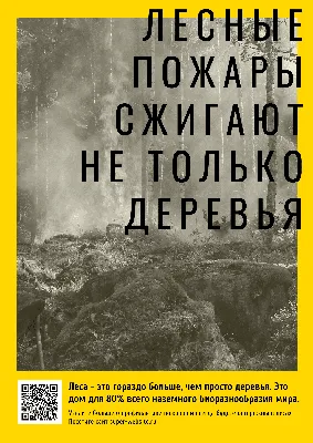 Новая социальная реклама на улицах Москвы | Пикабу