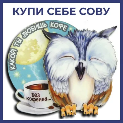 Производственная компания фабрика сувениров FlyFF - Магнит Сова с кофе вид 4