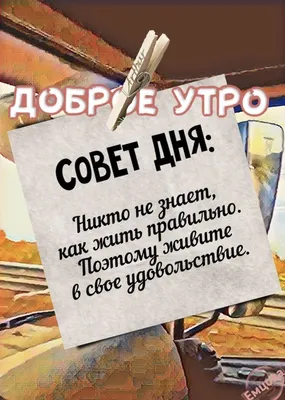 Совет дня картинки