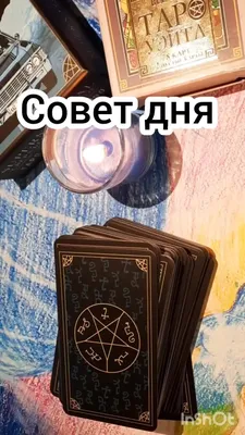 Совет дня | Пикабу