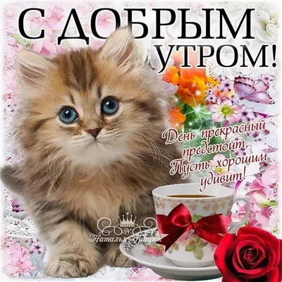 💕🌞🌷 С добрым утром, днём! - YouTube