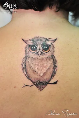 Тату Сова — Owl Tattoo | Татуировка Солнечногорск | 89919382822 | -  Tattoo Татуировка в Солнечногорске +7 (991) 938-28-22