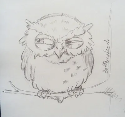 Как нарисовать сову: 21 несложный способ - Лайфхакер
