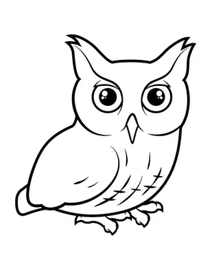 Картинки совы для детей | Owls drawing, Owl coloring pages, Owl tattoo  drawings