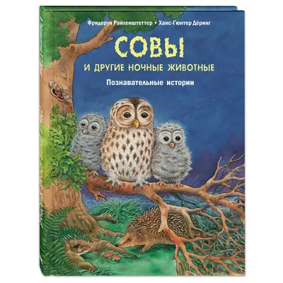 Купить Набор деревянных статуэток "Совы", цена 450 грн —   (ID#1271816143)