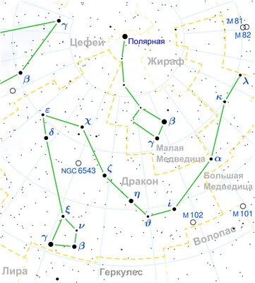 Созвездие дракона картинки