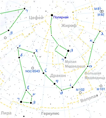 Созвездие Дракон - векторный клипарт