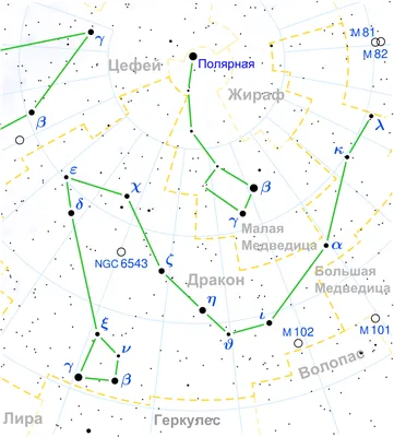 Звездное небо : Медведицы, Дракон, Кассиопея, Волопас, Цефей,  Геркулес и др.