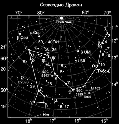 Дракон (созвездие) — Википедия