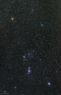 Ориониды-2020: как и когда наблюдать звездопад из созвездия Орион:  Общество: Облгазета