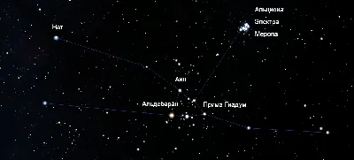 Созвездие тельца на небе рисунок детский (46 фото) » рисунки для срисовки  на Газ-квас.ком