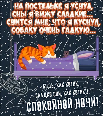 Спокойной ночи | Ночь, Спокойной ночи, Позитивные цитаты