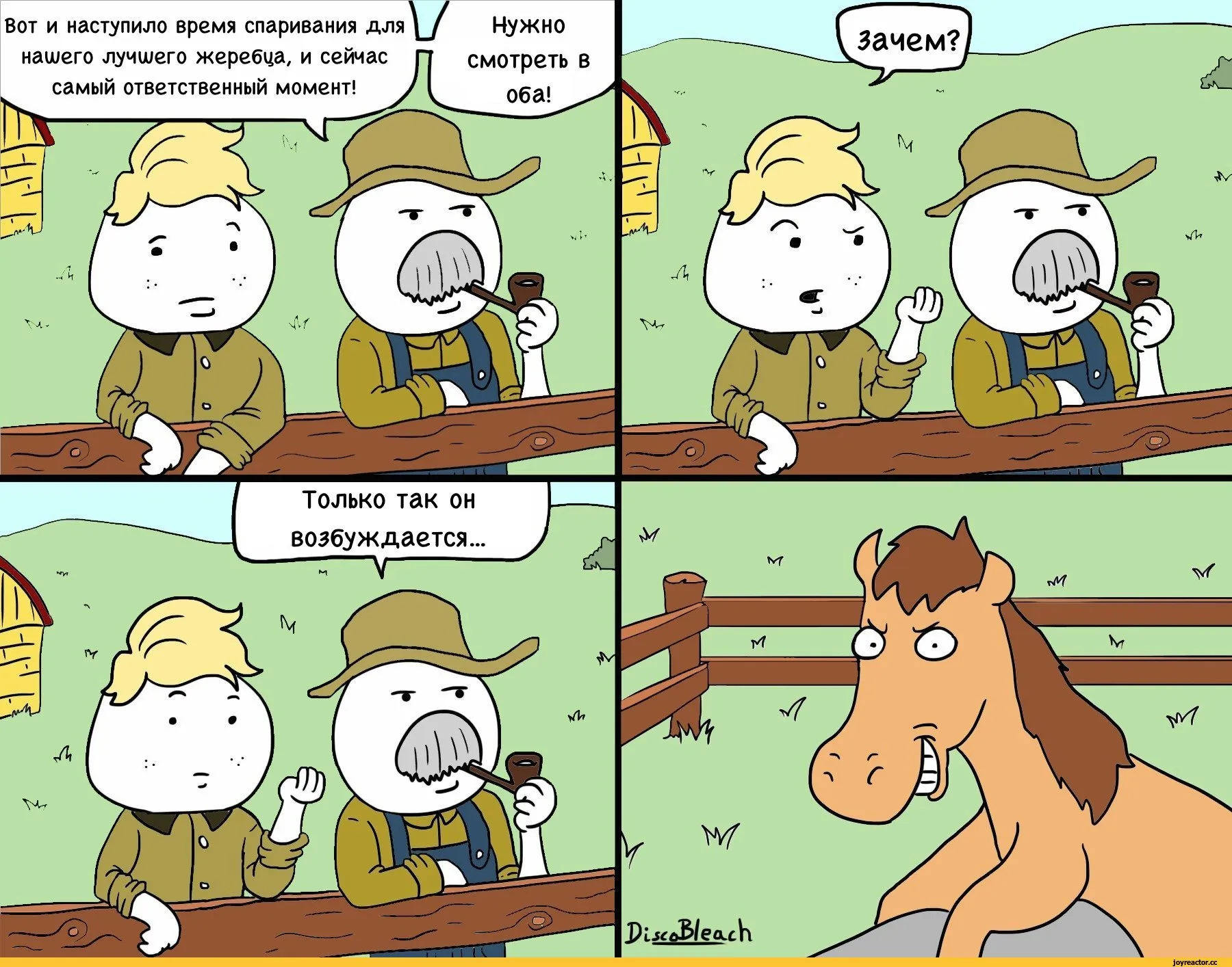 Спаривание комикс. Смешные комиксы про лошадей. Смешные спаривания. Мемы про лошадей.